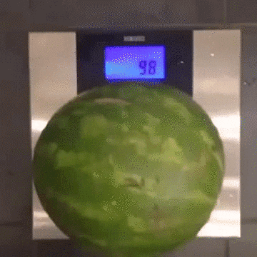 watermelon charger GIF