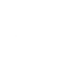 Fly Loco Sticker by Airdesign