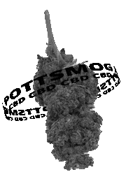 Cannabis Cbd Sticker by PottSmog