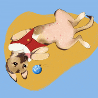 Feliz Natal GIF