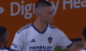 Celebrate La Galaxy GIF by Major League Soccer