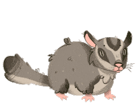 Sugar Glider Sticker by NEKTON GmbH