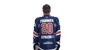 Hockey Fournier Sticker by Fehervar AV19