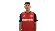 Bayer Leverkusen Cheering Sticker by Bundesliga