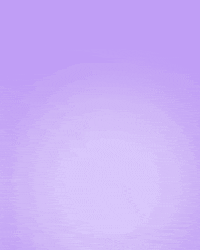 Underwear Sydney GIF by Step One