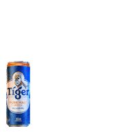 Skate Tiger Sticker by TigerBeerBR