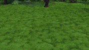 Fun Flowers GIF by The Sims