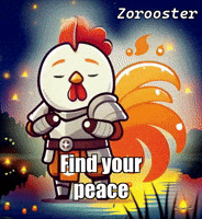 Fire Sun GIF by Zorooster