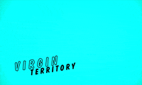 mtv GIF