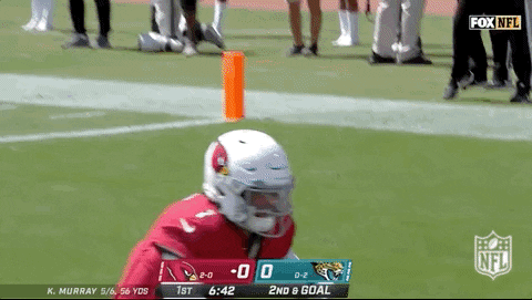Arizona Cardinals Football GIF by NFL
