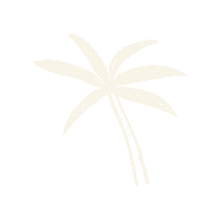 Palm Tree Summer Sticker