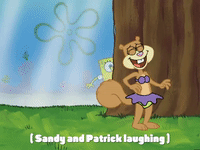 season 4 GIF by SpongeBob SquarePants