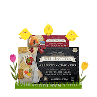 Spring Season Sticker by Wellington Crackers