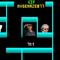 Maze 877 Mose GIF