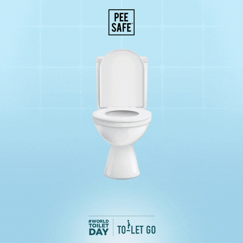 PeeSafe toilet world toilet day toilet day toilet hygiene GIF
