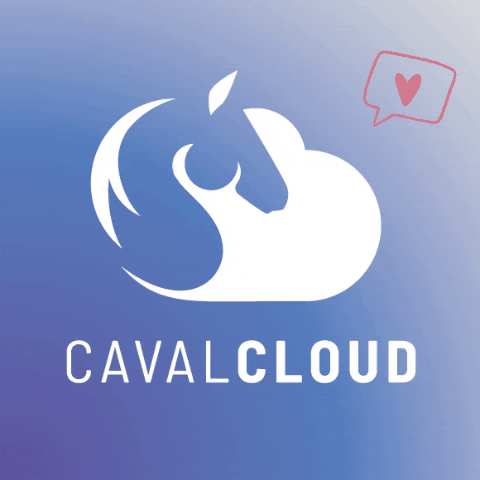 Cavalcloud cavalcloud GIF