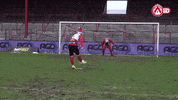 merry christmas penalty GIF by KV Kortrijk