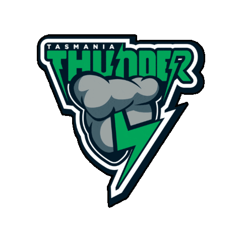 Nyc Thunder Sticker by Touch Football Australia