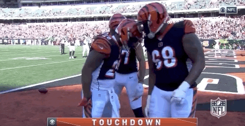 Regular Season Football GIF by NFL