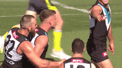 Aussie Rules Celebration GIF by Port Adelaide FC
