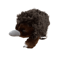 Fin Echidna Sticker by Barossa Australia