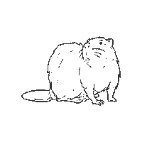BiosfarVanerskargarden animal beaver unesco agenda 2030 Sticker