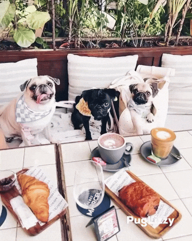 Coffee Cafe GIF