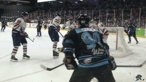 Angry Fight GIF by Quad City Storm