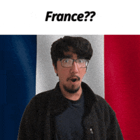 France GIF