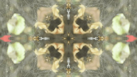 Art Love GIF by jorgemariozuleta