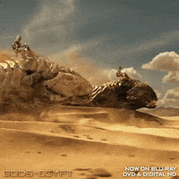 GIF by Lionsgate Home Entertainment