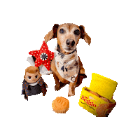 Stranger Things Daschund Sticker by Geekster Pets