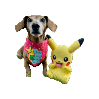 Pokemon Daschund Sticker by Geekster Pets