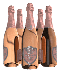 Celebration Sparkling Sticker by artwinery