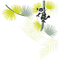 Newin Lemur Sticker by Close Parent