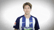 peace bundesliga GIF by Hertha BSC