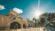 Florida International University College GIF by FIU