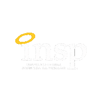Nossa Senhora Logo Sticker by INSP2
