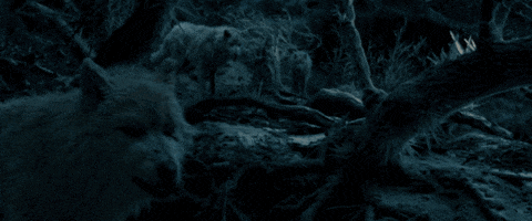 GIF by Beauty And The Beast