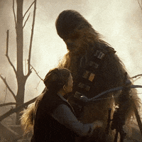 Mbss star wars star hug princess GIF