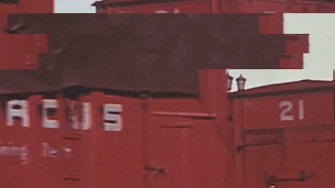 Art Video GIF by jorgemariozuleta