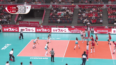 Power Celebrate GIF by Volleyball World