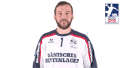 Handball-Bundesliga Sg GIF by LIQUI MOLY HBL