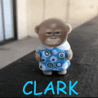 Monkey Clark GIF