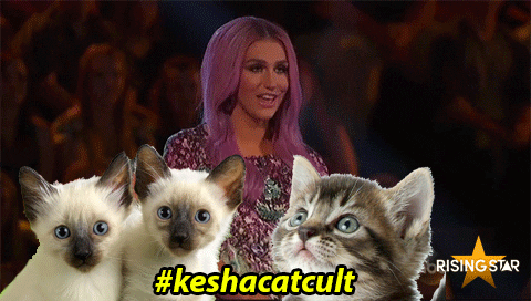 kesha cat cult GIF by Rising Star