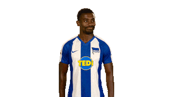 Hertha Bsc Yes Sticker by Bundesliga