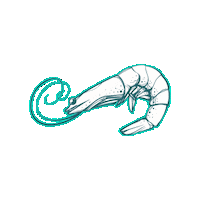 LouisianasCajunBayou louisiana bayou cajun thibodaux Sticker