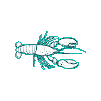 LouisianasCajunBayou louisiana bayou cajun thibodaux Sticker