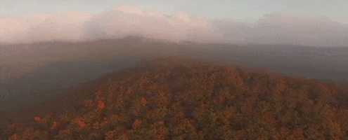 alabama GIF