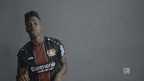 german football GIF by Bundesliga